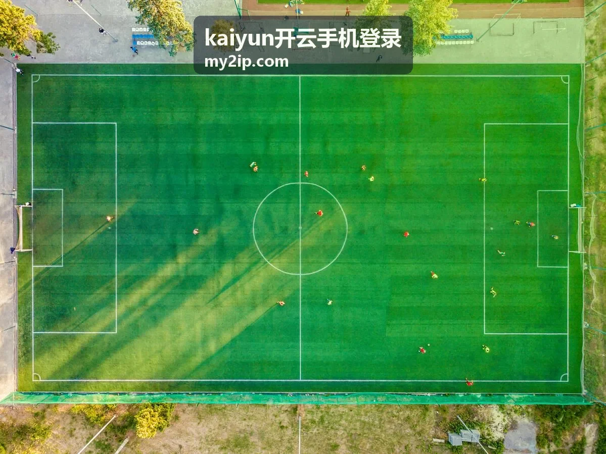 kaiyun开云手机登录手机端登录页面示意