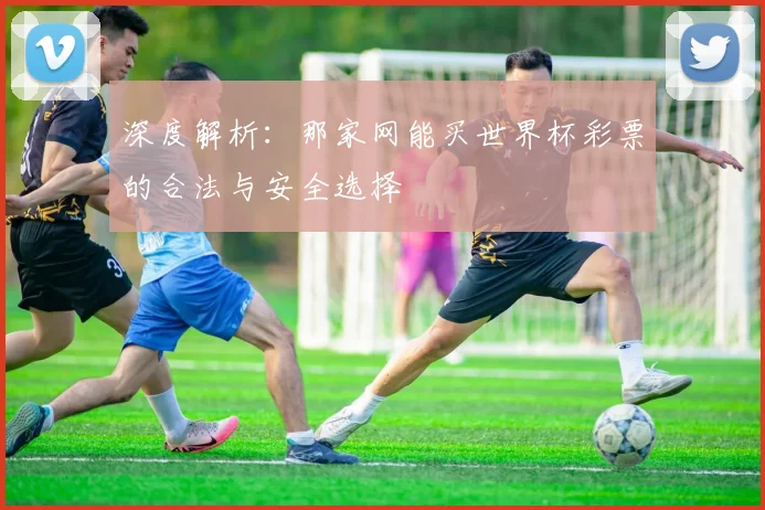 深度解析：那家网能买世界杯彩票的合法与安全选择
