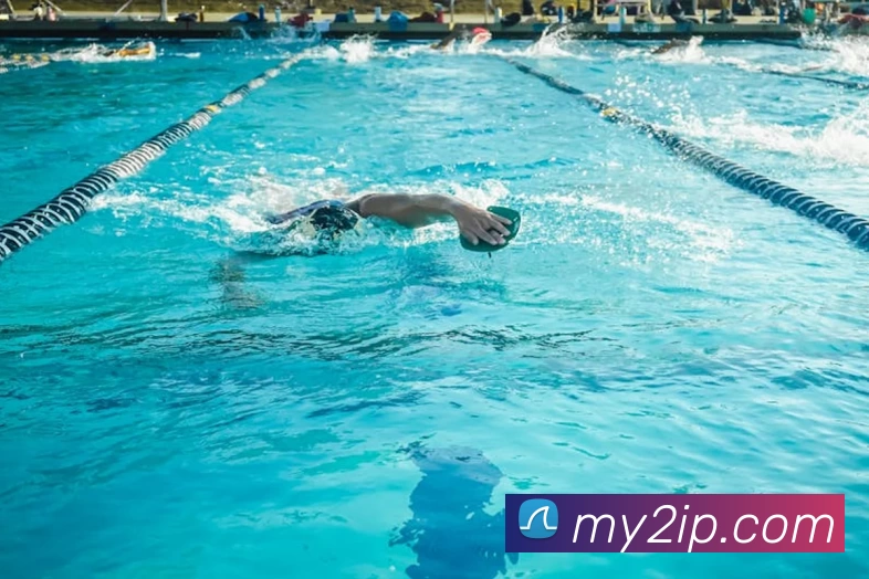 多媒体互动体验